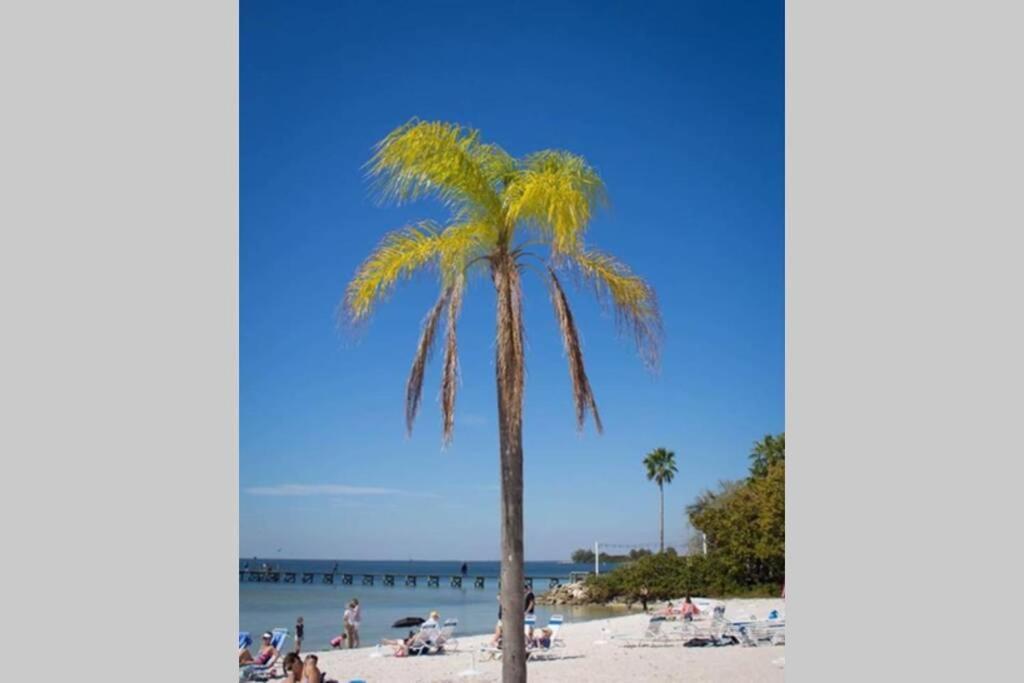 Little Harbor Resort #507 Tampa Bay Fl Beach, Riverview Romance Раскин Экстерьер фото